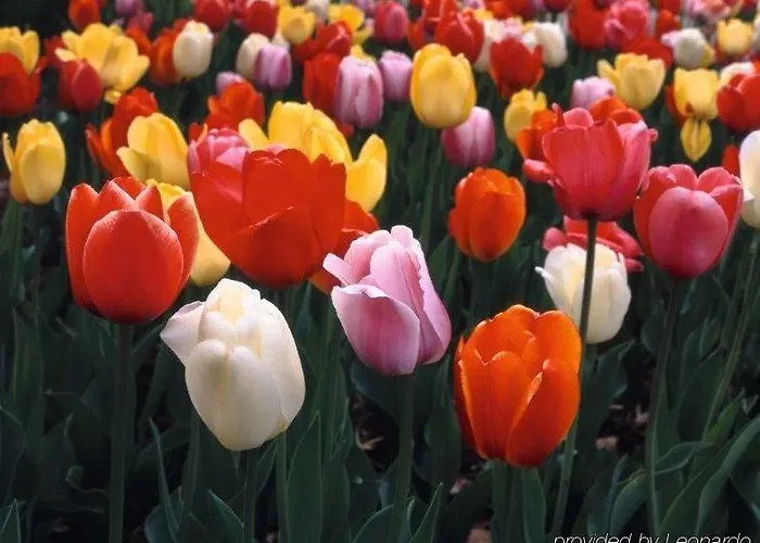 Otel The Times Amsterdam